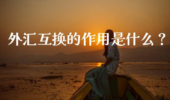 外汇互换的作用是什么？_https://wap.ycdhulan.com_财务投资_第1张