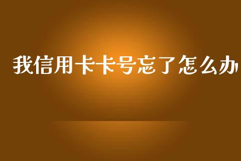 我信用卡卡号忘了怎么办_https://wap.ycdhulan.com_财务投资_第1张