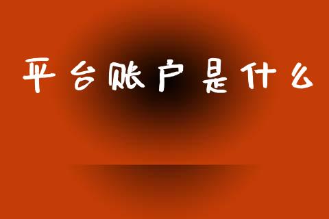 平台账户是什么_https://wap.ycdhulan.com_财务投资_第1张