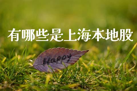 有哪些是上海本地股_https://wap.ycdhulan.com_金融咨询_第1张