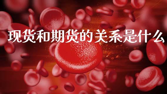 现货和期货的关系是什么_https://wap.ycdhulan.com_财务投资_第1张