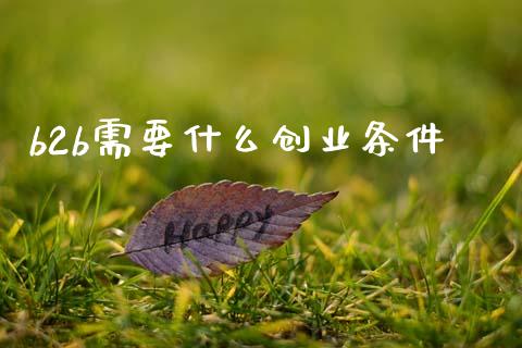 b2b需要什么创业条件_https://wap.ycdhulan.com_投资基金_第1张