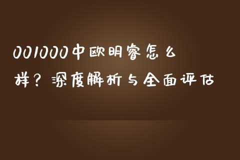 001000中欧明睿怎么样？深度解析与全面评估_https://wap.ycdhulan.com_投资基金_第1张