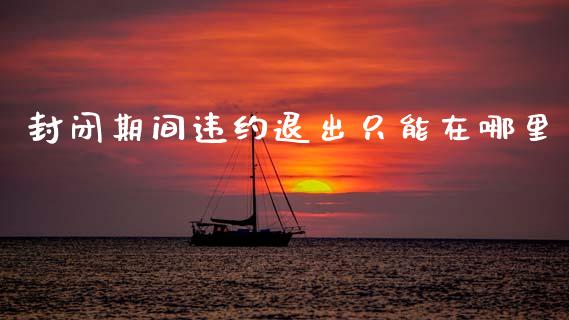封闭期间违约退出只能在哪里_https://wap.ycdhulan.com_金融咨询_第1张