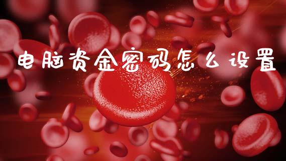 电脑资金密码怎么设置_https://wap.ycdhulan.com_货币市场_第1张