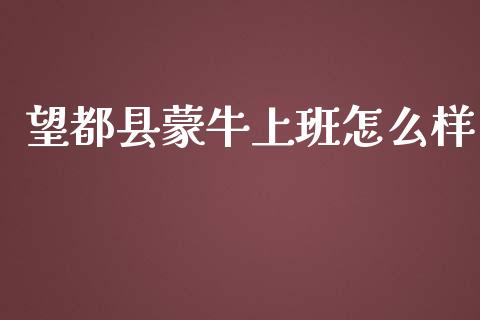 望都县蒙牛上班怎么样_https://wap.ycdhulan.com_国际财经_第1张