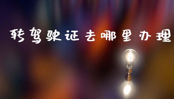 转驾驶证去哪里办理_https://wap.ycdhulan.com_国际财经_第1张