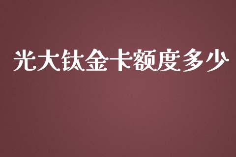 光大钛金卡额度多少_https://wap.ycdhulan.com_货币市场_第1张